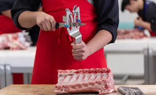 Affûtage / Aiguisage Affûtage / Aiguisage Visuel